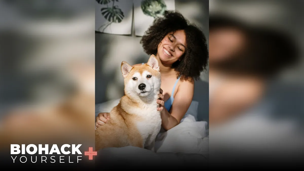 How C60 Supports Canine Health from the Inside Out
